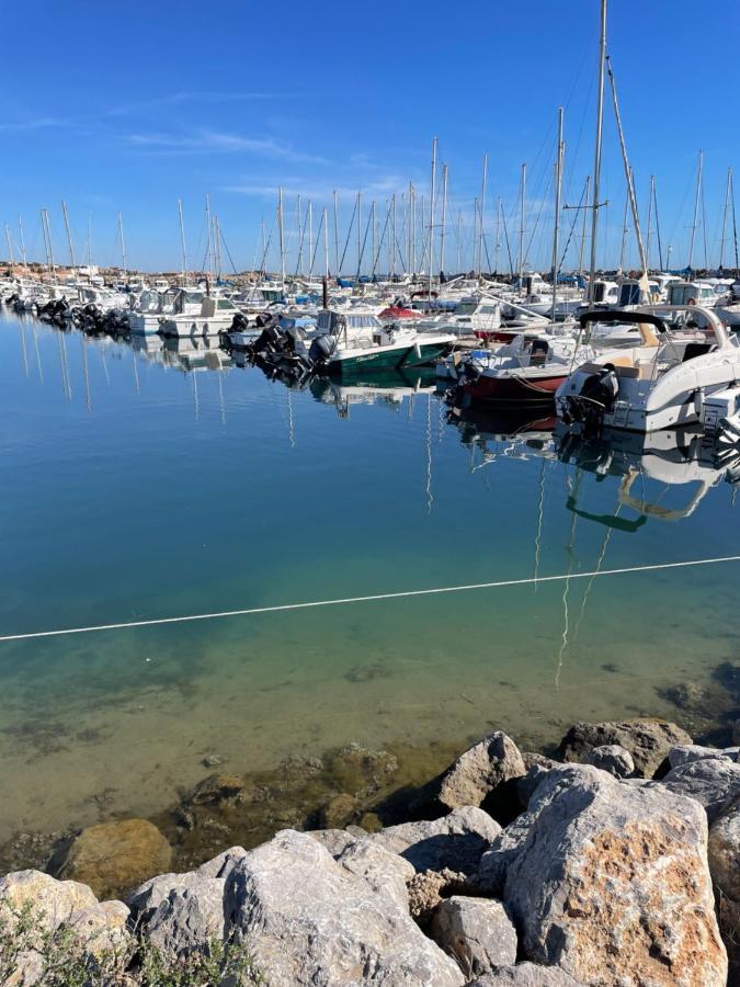 Les Ecuries - 3 Bedroom Gite With Plunge Pool Near Narbonne & The Canal Du Midi Saint-Nazaire-d'Aude Екстер'єр фото